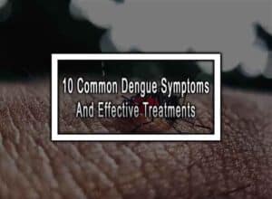Common Dengue Symptoms and Effective Treatments
