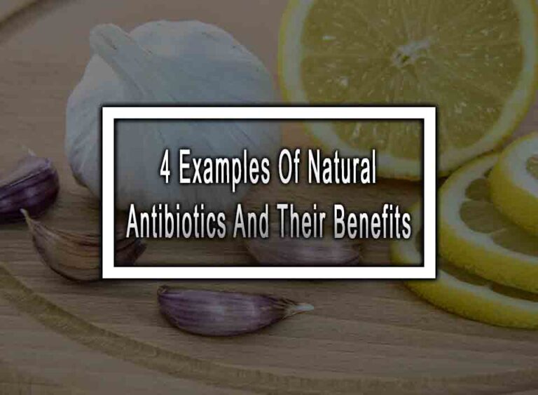 4 Examples Of Natural Antibiotics And Their Benefits