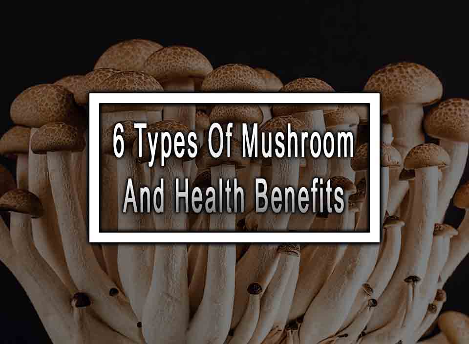 6 Types Of Mushroom And Health Benefits
