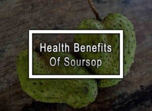 9 Health Benefits Of Soursop