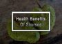 9 Health Benefits Of Soursop