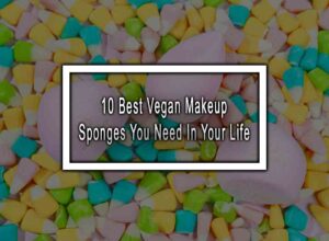 10 Best Vegan Makeup Sponges You Need In Your Life