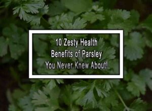 10 Zesty Health Benefits of Parsley You Never Knew About!
