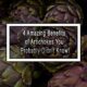 4 Amazing Benefits of Artichokes You Probably Didn't Know!