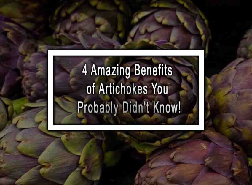 4 Amazing Benefits Of Artichokes You Probably Didn't Know!