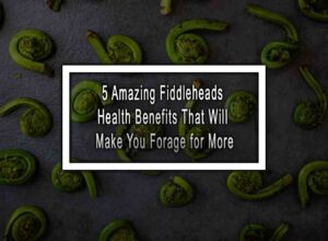 5 Amazing Fiddleheads Health Benefits That Will Make You Forage for More