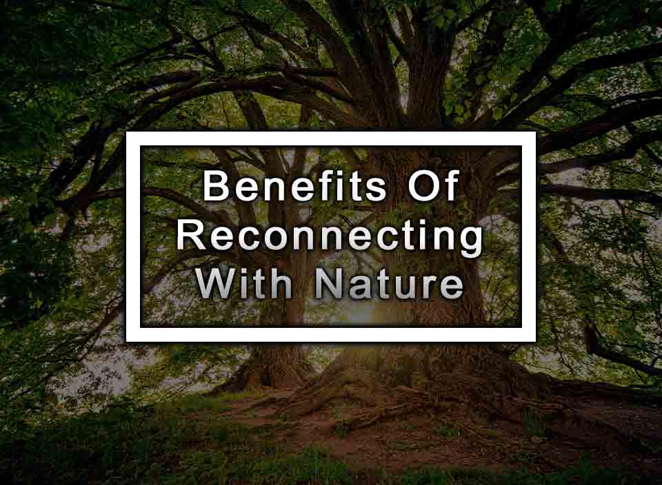 Benefits Of Reconnecting With Nature