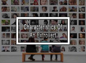 Characteristics Of An Extrovert