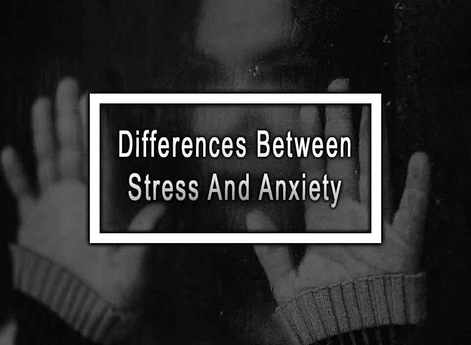 Differences Between Stress And Anxiety