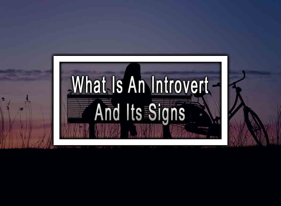 What Is An Introvert And Its Signs