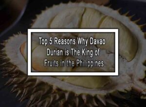 Top 5 Reasons Why Davao Durian is The King of Fruits in the Philippines
