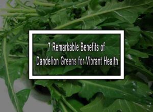 7 Remarkable Benefits of Dandelion Greens for Vibrant Health