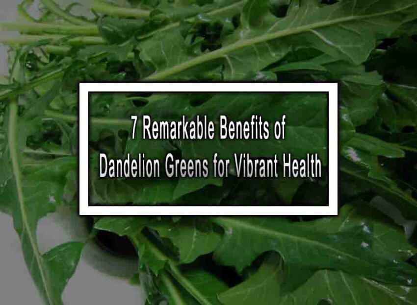 7 Remarkable Benefits Of Dandelion Greens For Vibrant Health